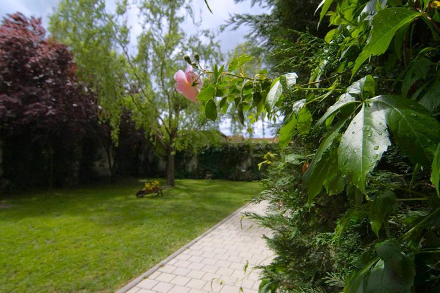 El Molino Villa Nieva  Екстериор снимка